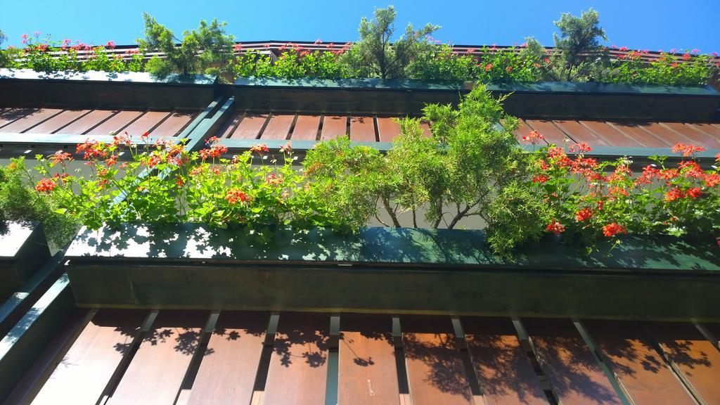 La Felce Bed & Breakfast カリゾーロ エクステリア 写真